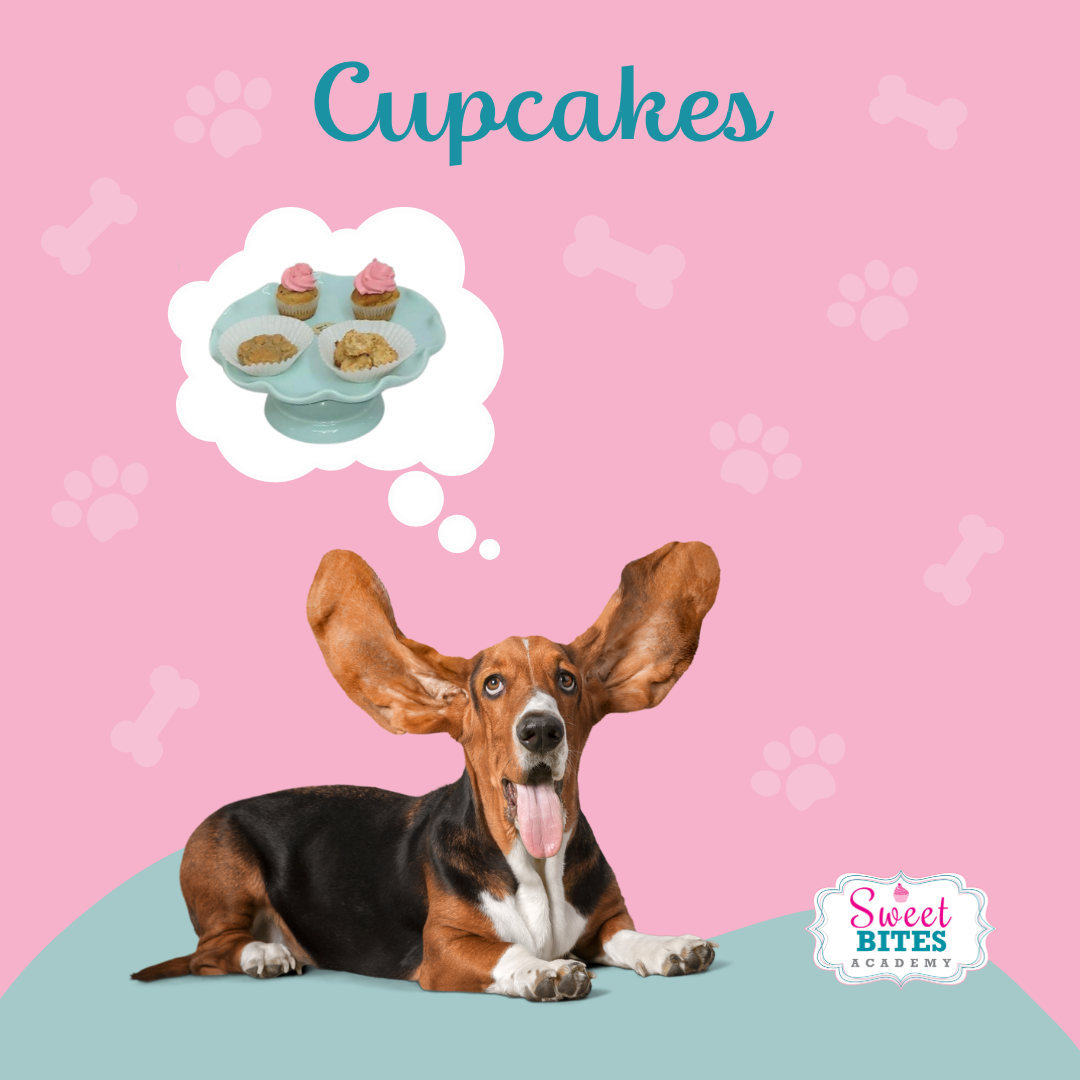 Pastelería Canina 10/septiembre