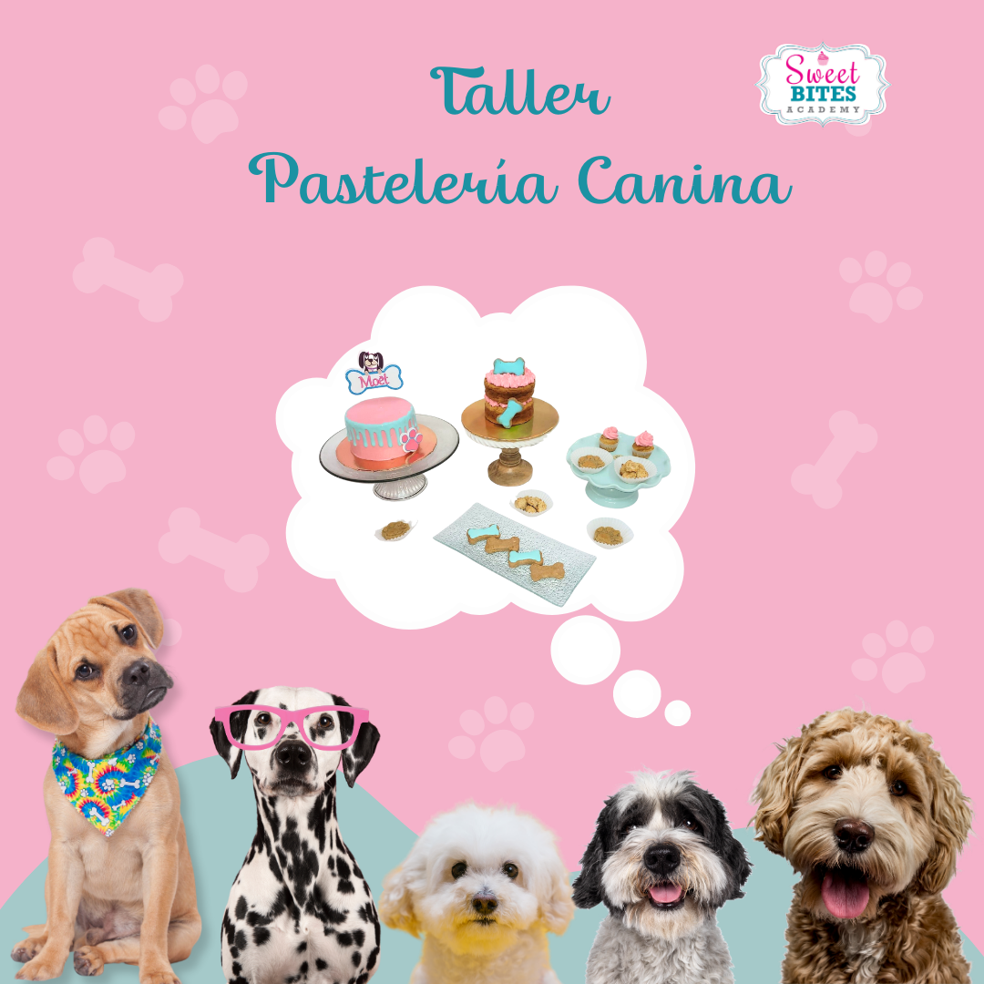 Pastelería Canina 10/septiembre